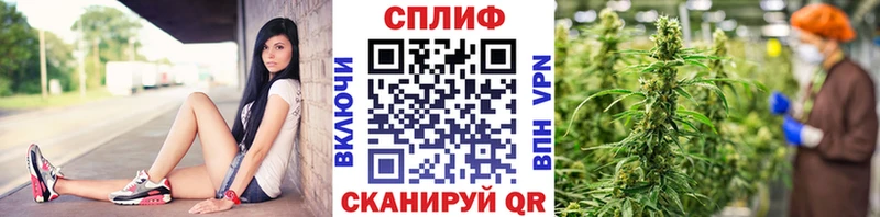 Все наркотики Лениногорск Alpha PVP 
