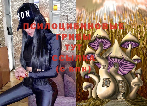 спайс Балахна