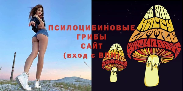 метамфетамин Армянск