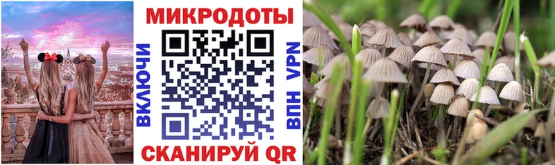 дарнет шоп  Лениногорск  Псилоцибиновые грибы мухоморы 